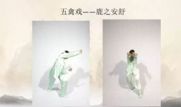 五禽戏视频,养生健身的古老智慧